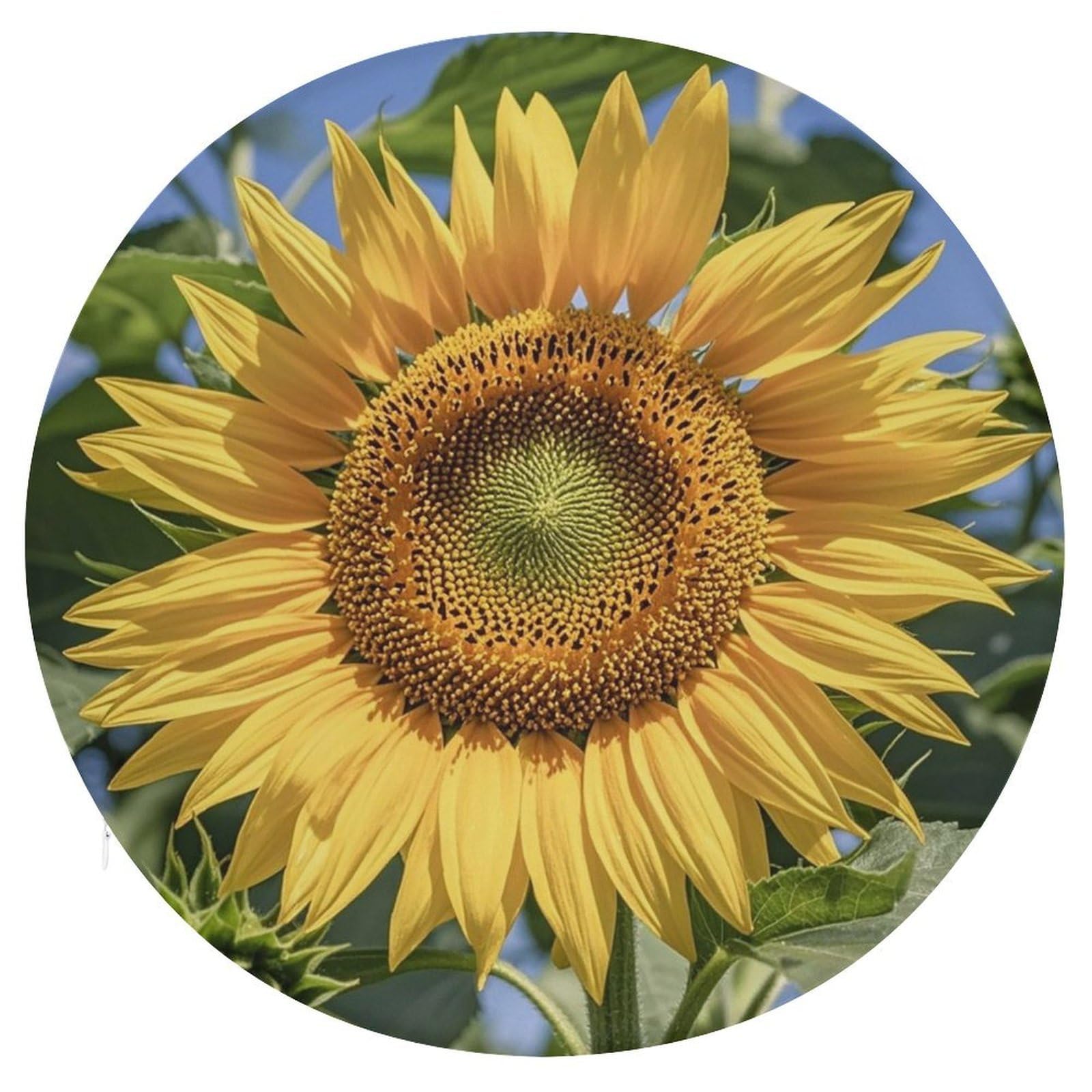 LZQPOEAS Sunflower Swivel Seat Cushion with Supportive Memory Foam Comfort Round Bar Stool Cushion 15.3" Diameter Rotating Seat Cushions Fashion Chair Pad for Car Office Home