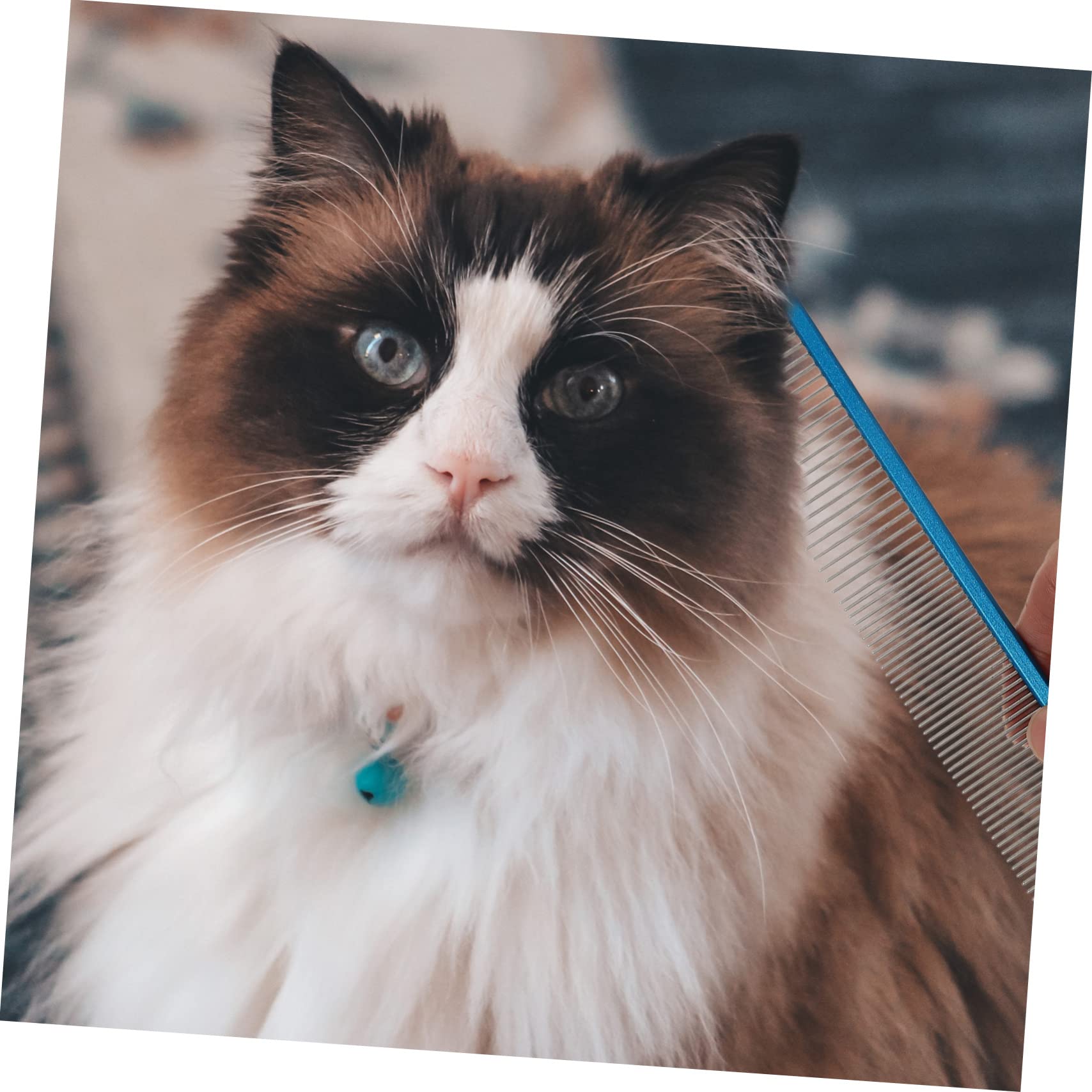 GALPADA Pet Comb Hair Comb Blue Stainless Steel