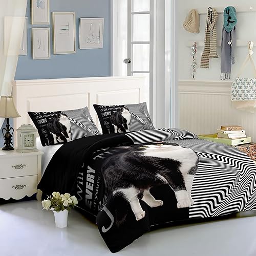 Miniatura 153 de Cartoon Cat Comforter Cover Set - Queen Size, Gradient Line Cat Bedding Set with Zipper for Kids Teens Boys Girls Adult Room Decor - 1 Quilt Cover 2