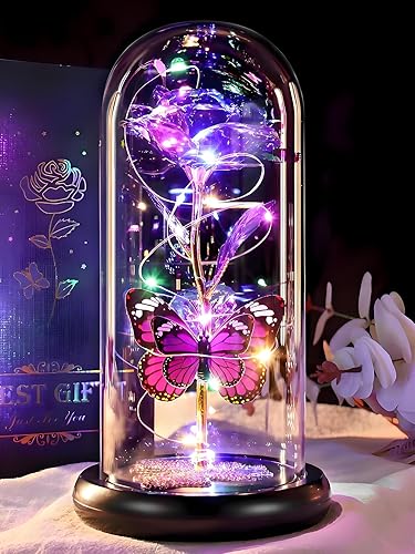 DEEMEI Regalos de cumpleaños para mujeres, rosa morada, flor eterna iluminada en cúpula de cristal con mariposa, regalos para mujeres, Acción de