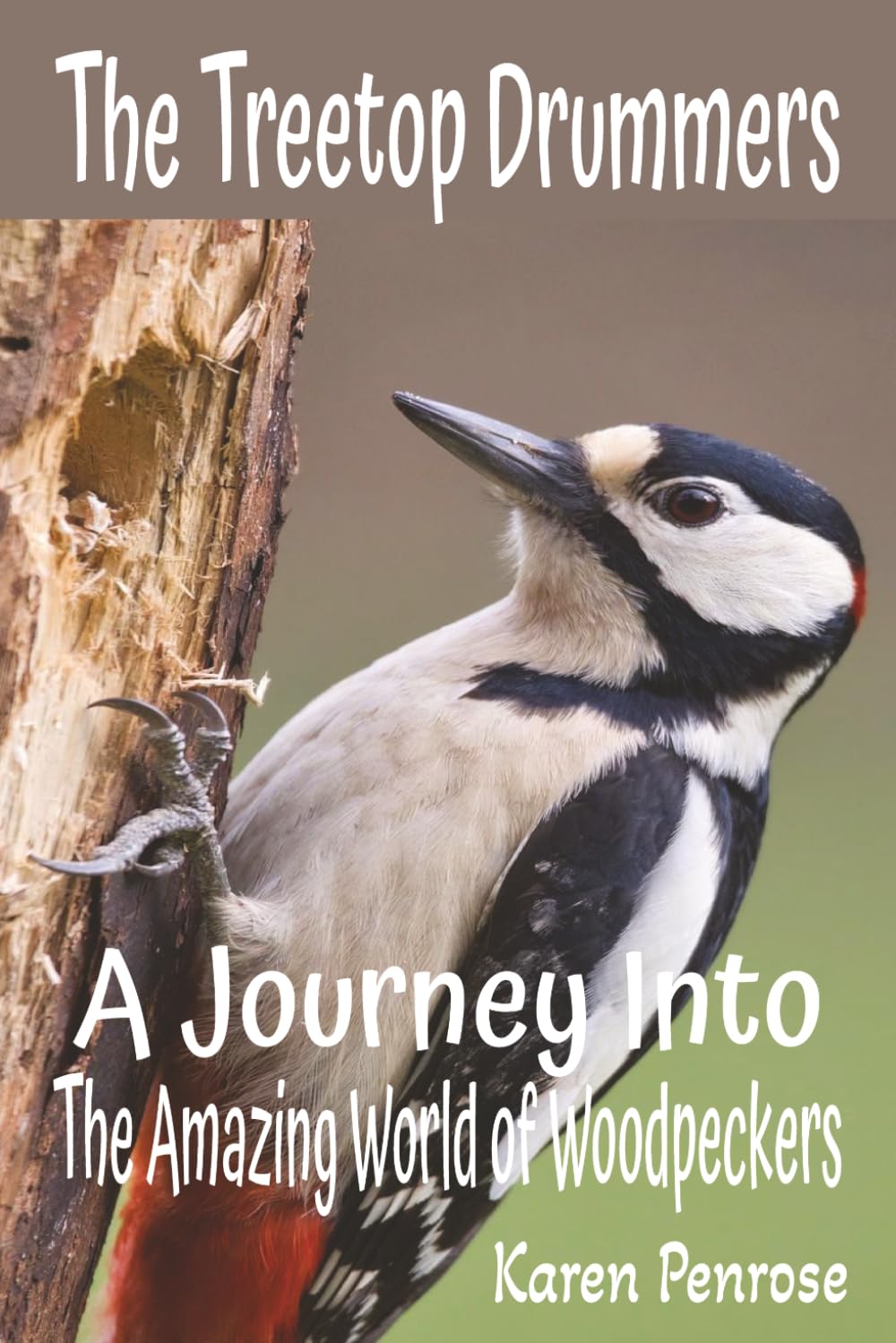 The Treetop Drummers: A Journey Into the Amazing World of Woodpeckers: Facts for Kids/Birdwatching/Woodpeckers of North America/Conservation/Forest ... Birds/Citizen Science/Grades 3-8