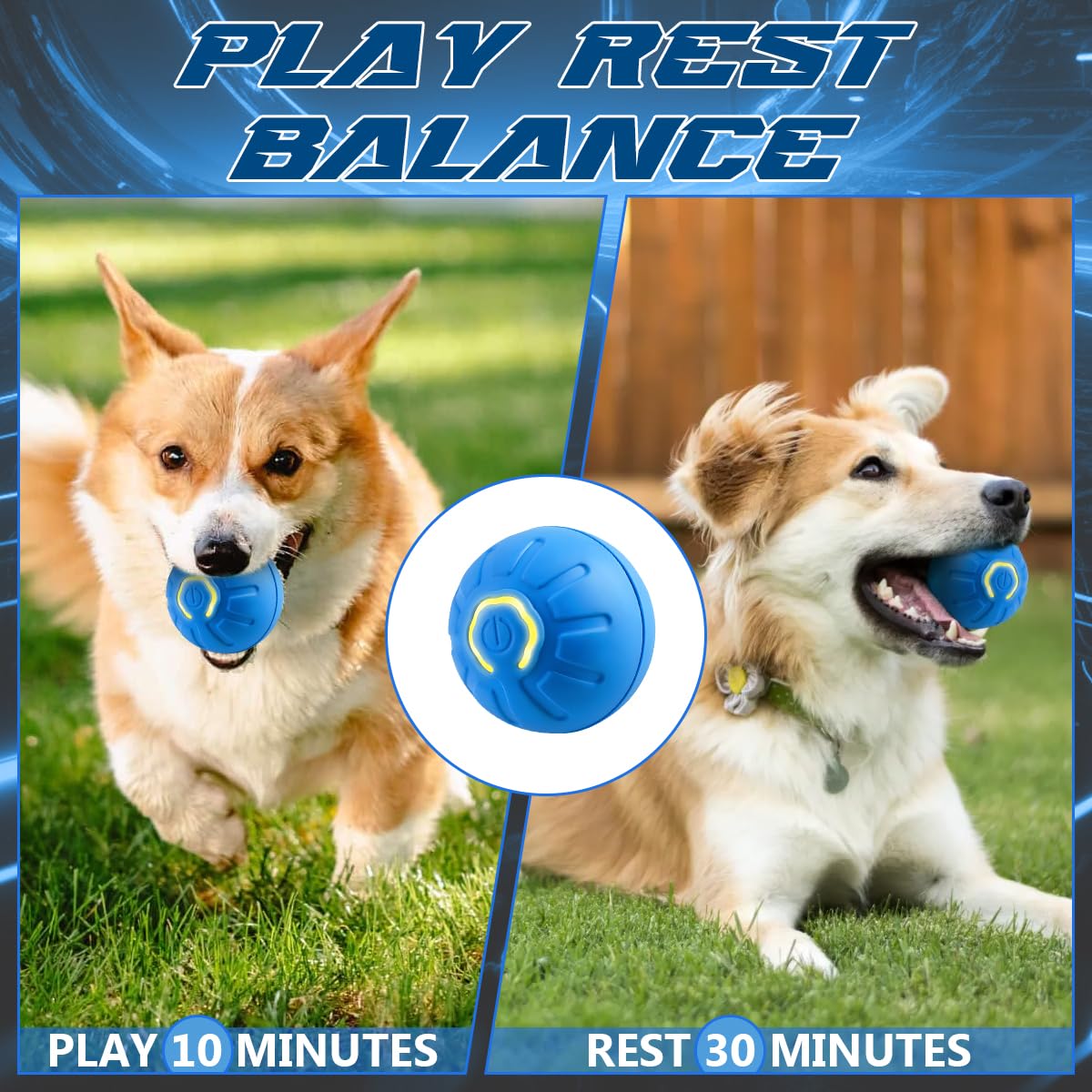 2 Pcs Shaky Ball Toy for Dogs,2025 New Shaky Dog Ball,Upgrad Interactive Dog Ball Automatic Moving Dog Toy Ball,USB Rechargeable Vibrating Dog Ball Remote Control Pet Ball for All Dogs(Orange+Blue)