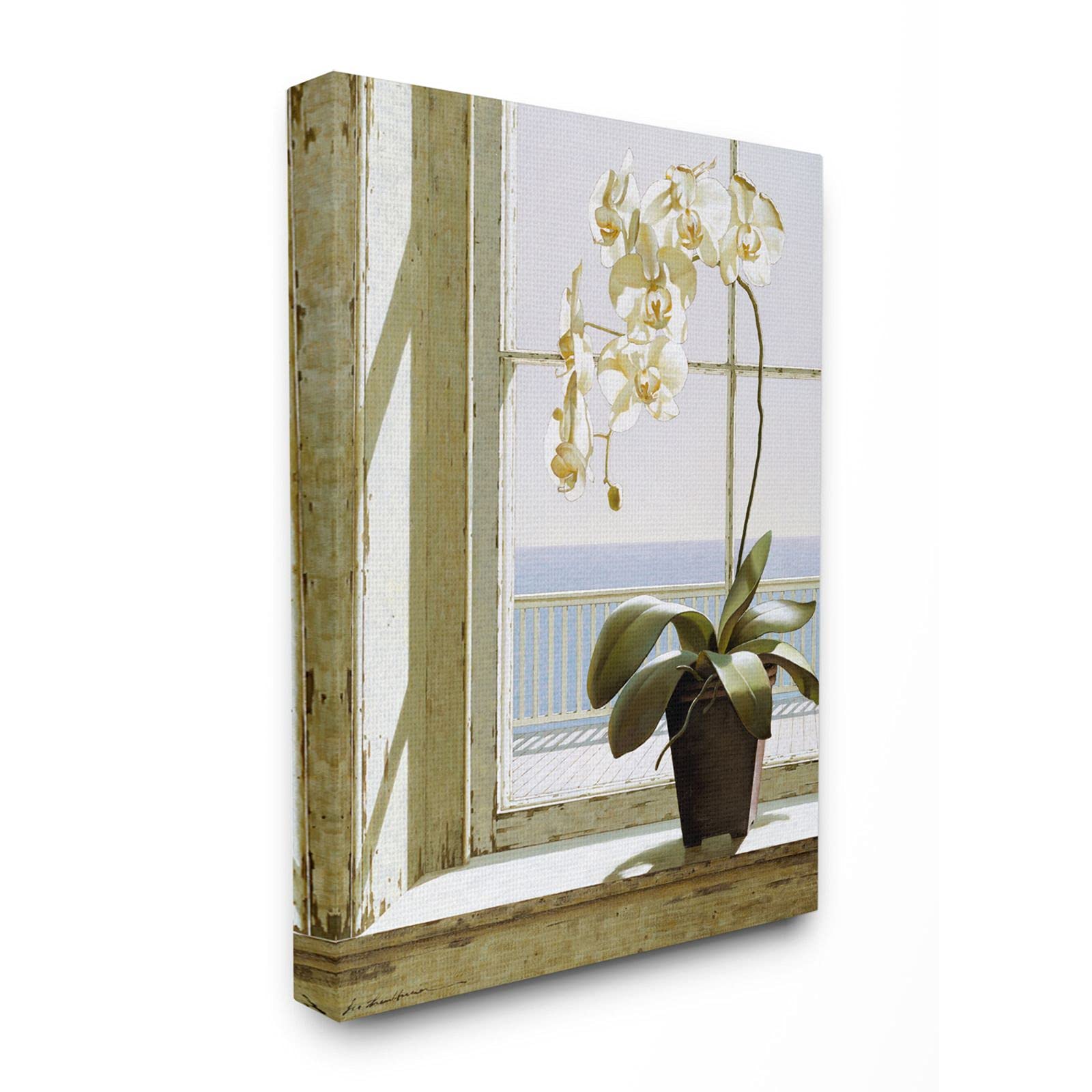 Stupell Industries White Orchid in Window Realistic Coastal Painting, Designed by Zhen-Huan Lu Wall Art, 16 x 20, Canvas