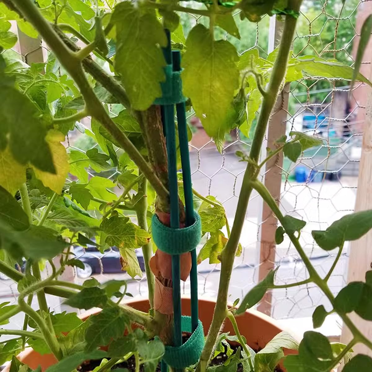 TIHOOD 100 Stück Bambus-Gartenstäbe (45,7 Cm) Mit 100 Metallbindern – Pflanzstützen Für Tomaten, Blumen & DIY