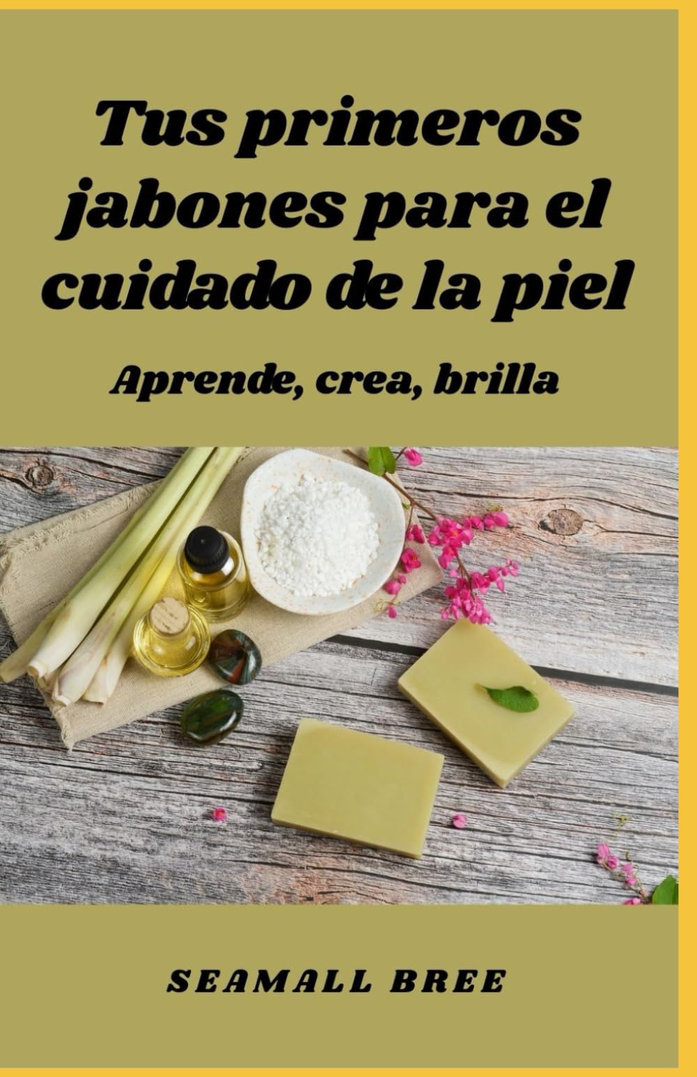 Tus primeros jabones para el cuidado de la piel: Aprende, crea, brilla