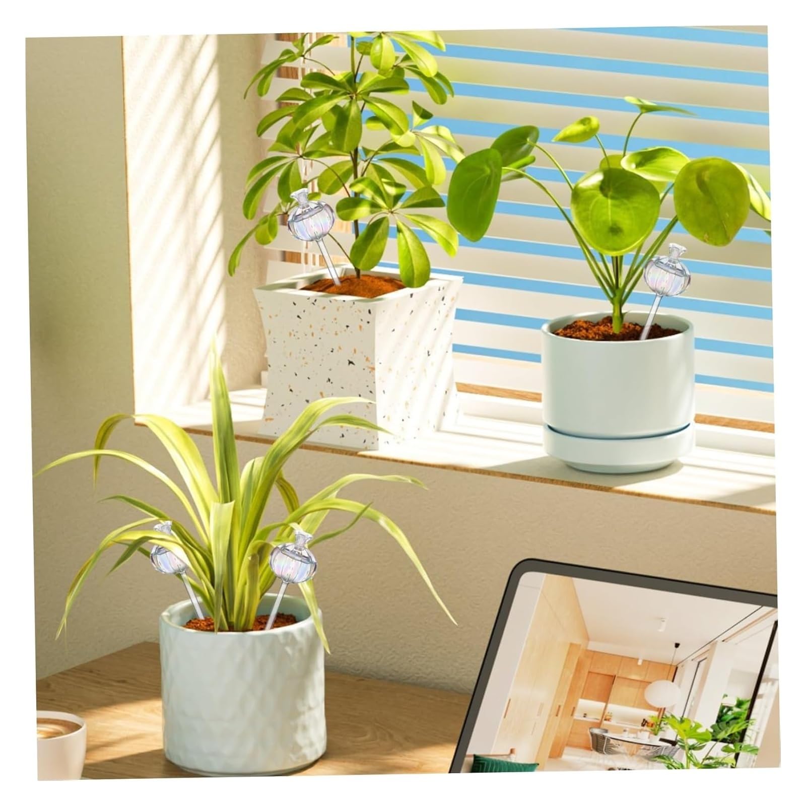 kule do podlewania roślin， Kule do podlewania roślin domowych, 4 szt. Szklane rośliny w kształcie orchidei Samonawadniające żarówki, kule wodne do roślin kwiatowych(Flare)