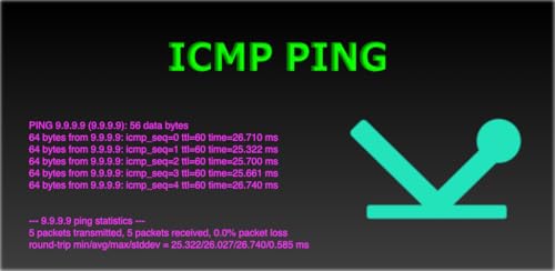 PING: Network Tool (ICMP) - Check Connectivity