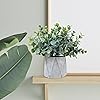 Product Photo 6
