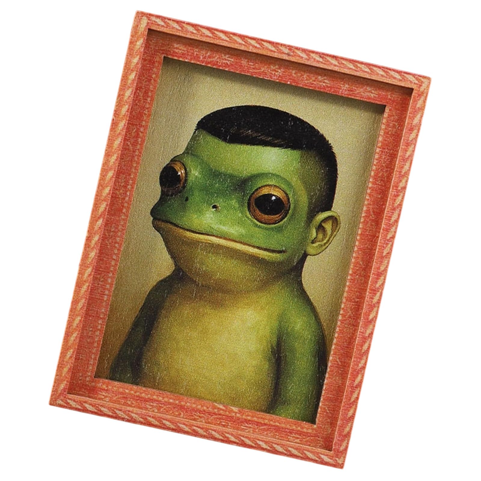 Frogs Picture FrFridge Magnets Refrigerator Fridge Decorative Magnet for Home Whiteboard Classroom Locker Refrigerator