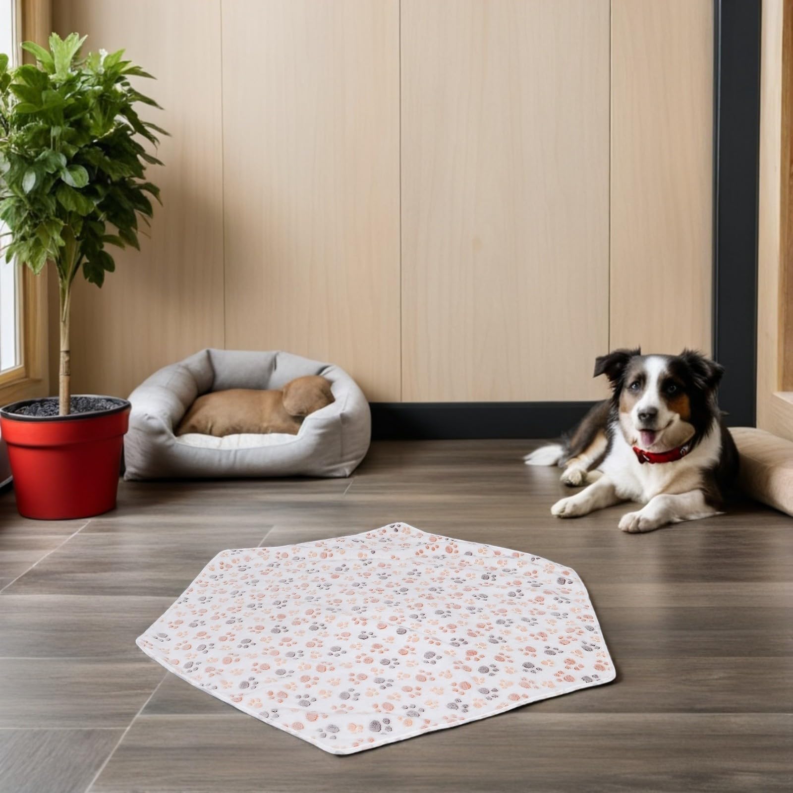 Alasum Tappetino Pile Cani Riutilizzabile per in Gatti e Igienico Esagonale di Corallo Lavabile Facile da Pulire Invernali per Box e Viaggi