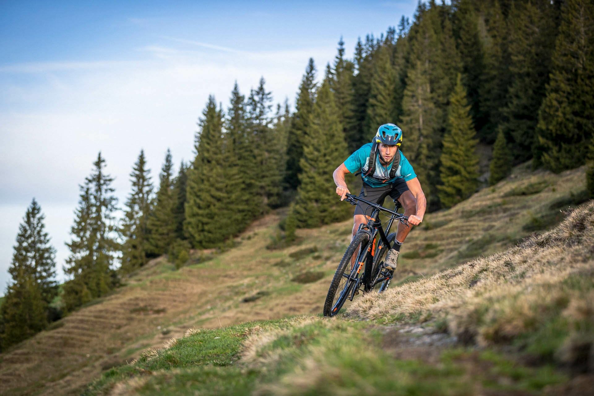 LÖFFLER Bike Shorts Evo Comfort Stretch Light męskie - 23504 - spodenki rowerowe z wkładką