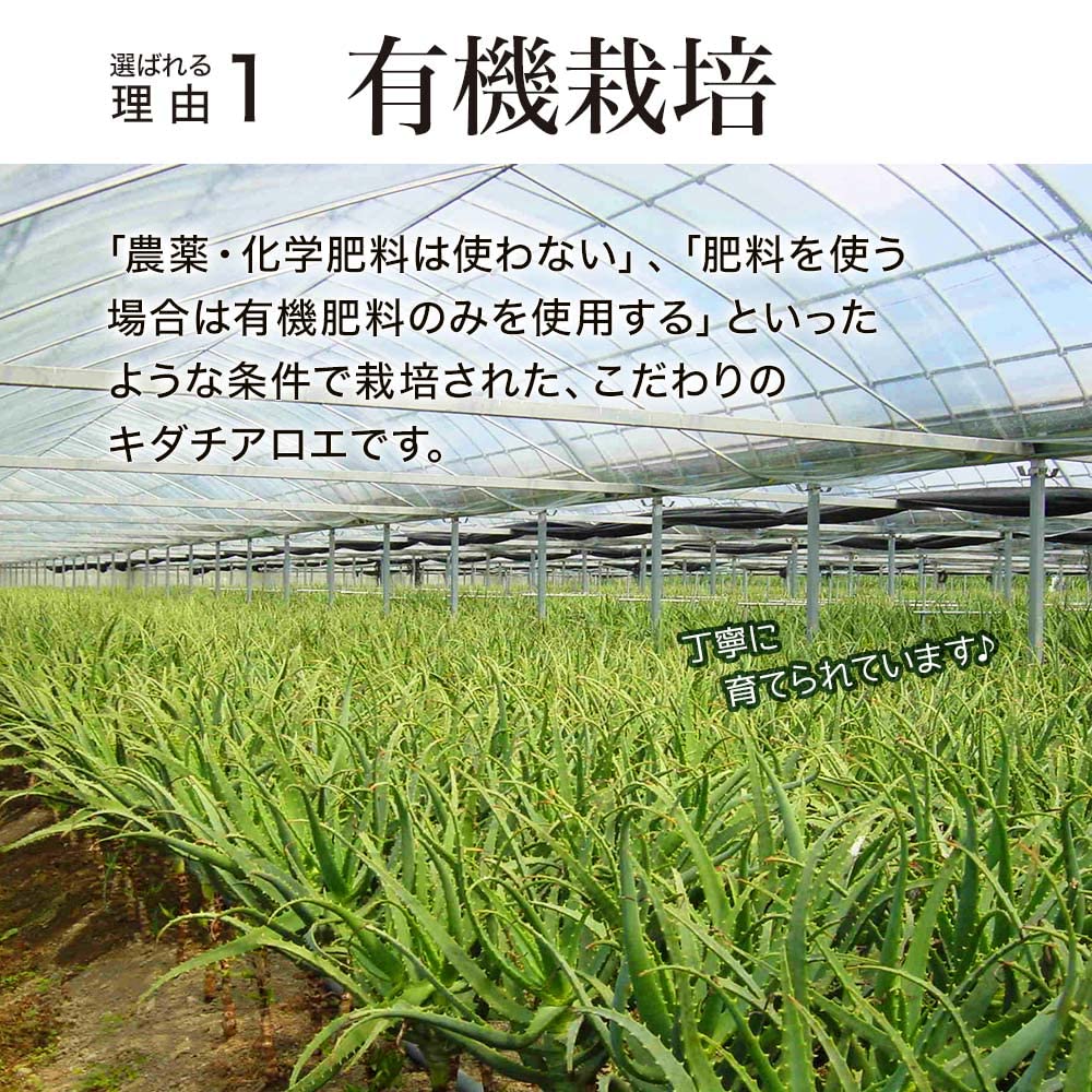 Amazon | ユウキ製薬 有機 キダチアロエ 粒 100% 24-30日分 120粒