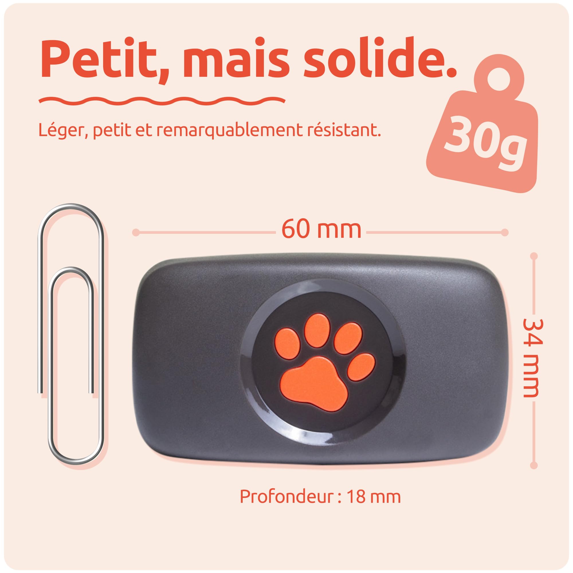PitPat Traceur GPS pour Chien - Convient à Tous Les Chiens et se Fixe au Collier