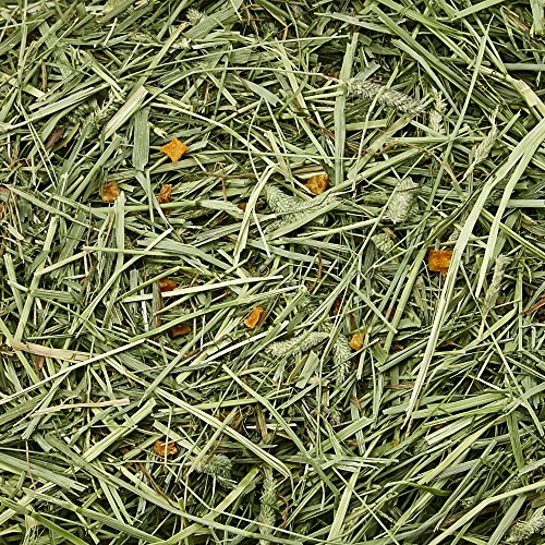 Kaytee Timothy Hay Ultra miniatura 5