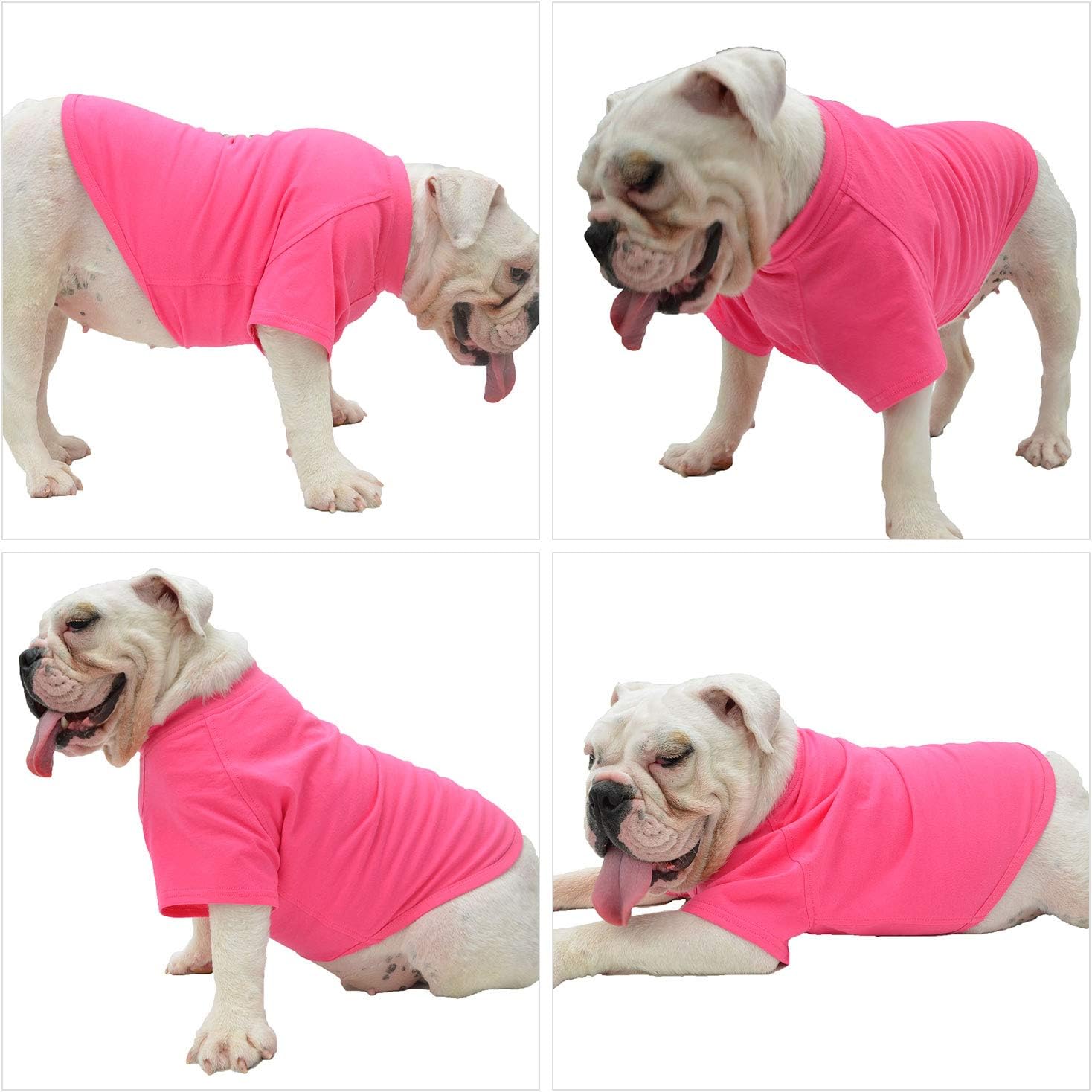 71K4sRhGPnL. AC SL1500