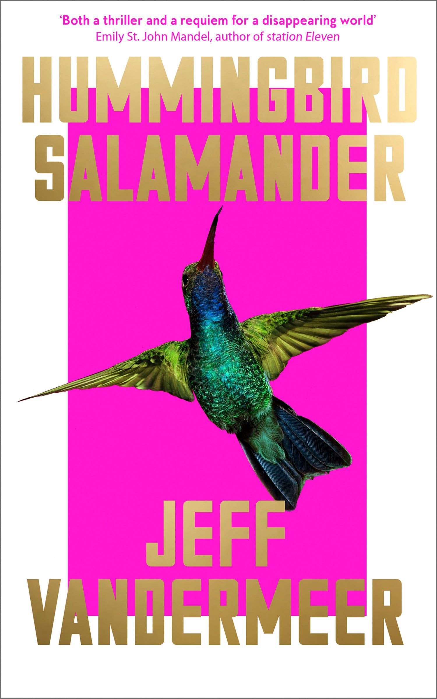 Fourth Estate Hummingbird Salamander