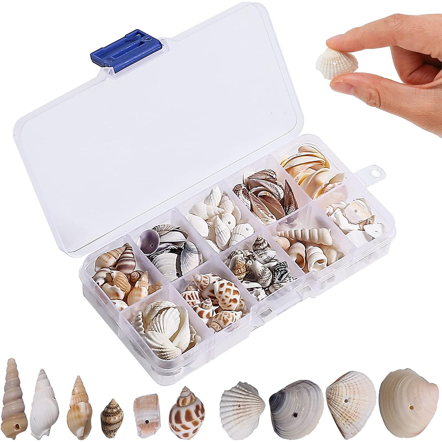 200pcs Shells for Crafts, Mixed Sea Shells Starfish Natural Seashells Small Conches Beach Seashells for Ocean Theme Party Natural Sea Charms for DIY Craft Making Wedding Decorations(No Holes)