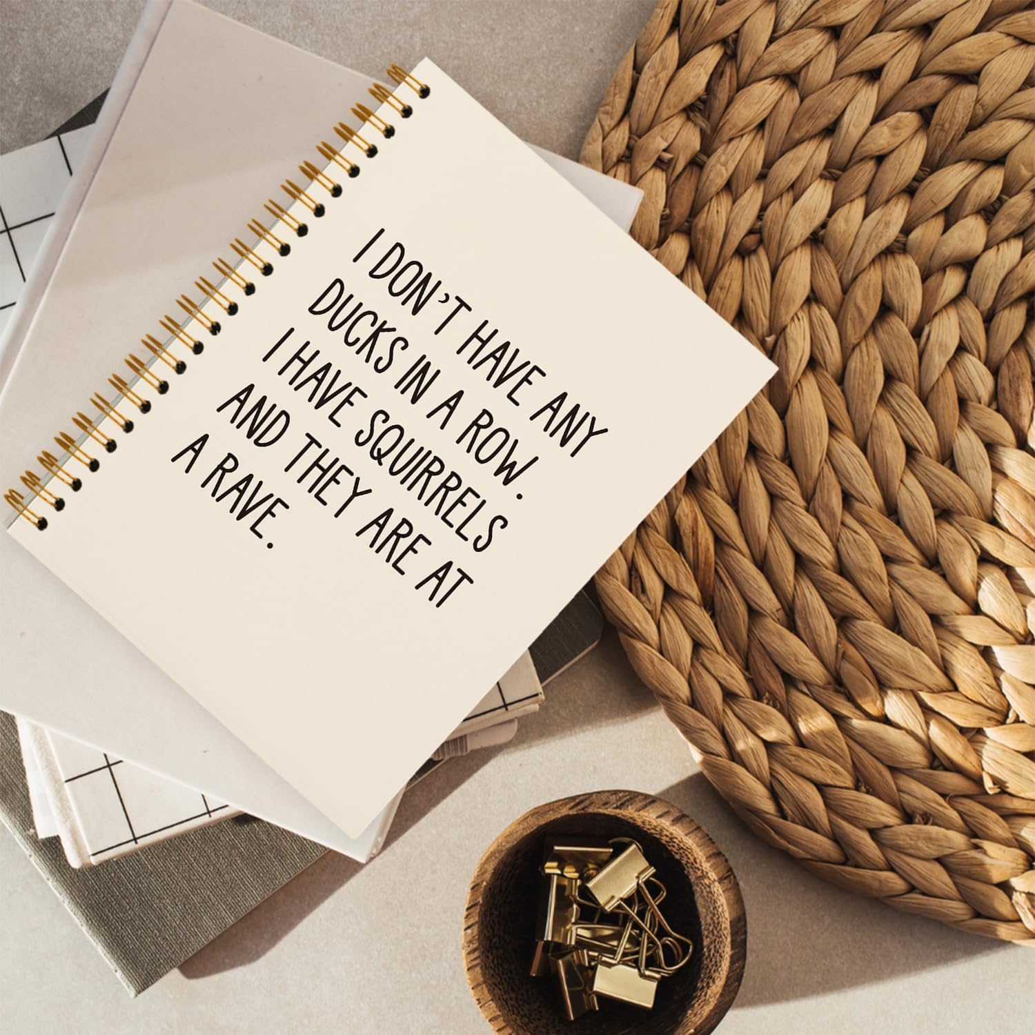 hold fizz Funny Office Gifts Notebook Journal, Gag Fun Gifts for Coworker Employee Colleague Boss Adults Friends, Ducks in a Row, Sarcastic Gift for Women Men, Beige Spiral Notebook 5.5 x 8.3 - Image 3
