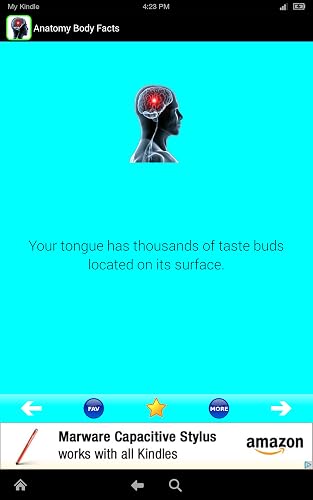 Anatomy Body Facts! Fun Human Anatomy and Physiology Flash Cards app FREE! Learn about Bones, Skin, Organs, Muscles, Brain, and the Body Parts Atlas of Science Systems for Kids! Cool & Random Virtual Surgery Simulator for Plastic, Leg, Eye, Hair! – vue 3