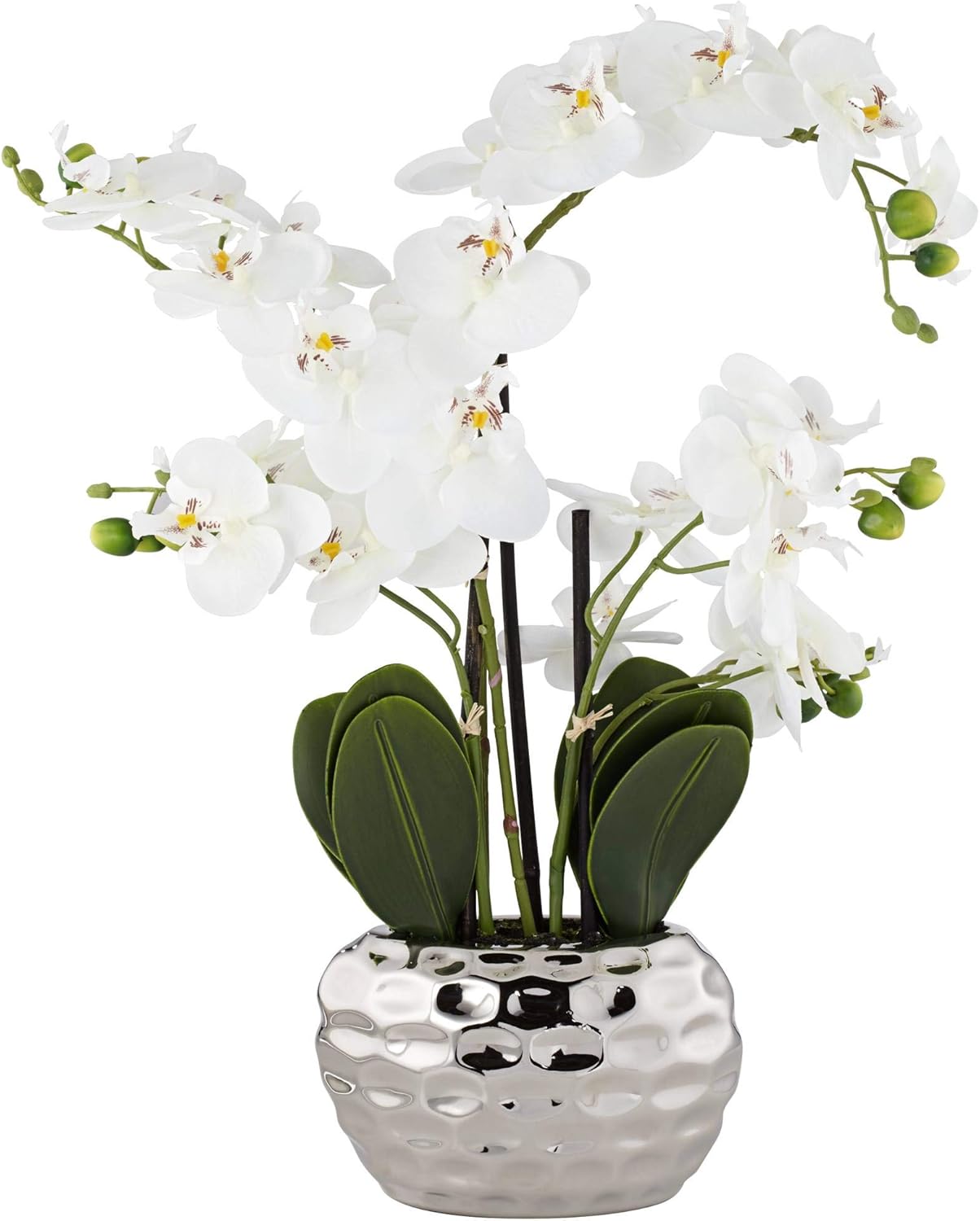 Dahlia Studios Potted Faux Artificial Flowers Arrangements Realistic White Phalaenopsis Orchid in Silver Pot Home Decoration Living Room Office Bedroom Bathroom Kitchen Dining Room 23" High : Home & Kitchen