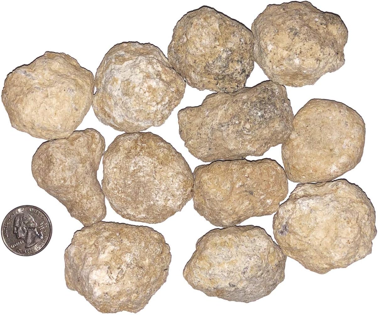 12 Bulk Break Your Own Geodes - Discover Crystals Inside!