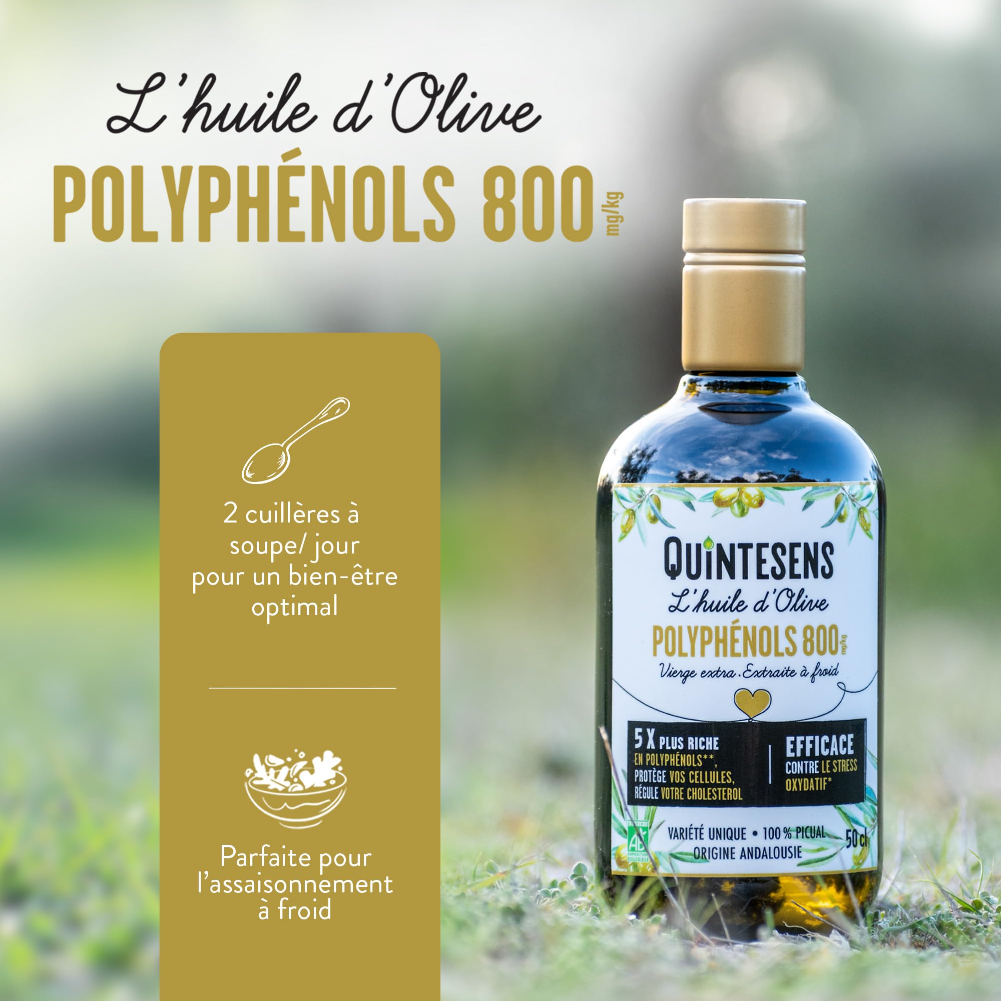 Huile d'Olive Extra Vierge Polyphénols QUINTESENS 500 ml – Santé Cardiovasculaire & Antioxydant Puissant – 880 mg/kg de Polyphénols – Pressée à Froid en 24h – 100% Bio – Origine Andalousie