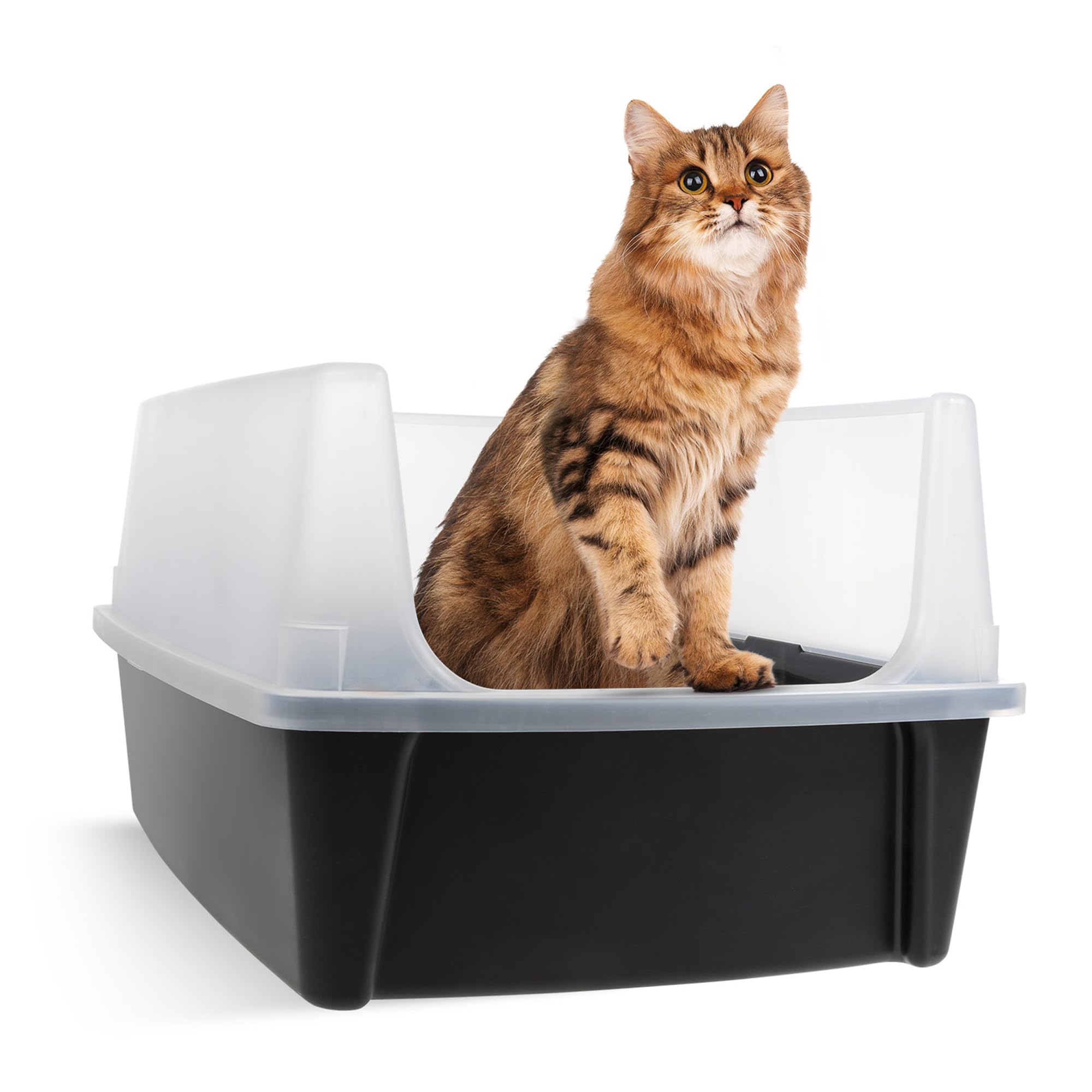 IRIS USA XX-Large Cat Litter Box, Open Top Extra Large Litter Box for Big Cats and Multi-Cat Households, High Sided Scatter Shield, Easy to Clean, 30" L x 20" W x 14" H, Black