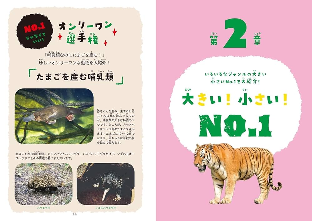 ■完売済み■　　　　　　　　　　　★動物のすべてがわかる本格的『しぜん動物図鑑』 □完売済み□ ☆動物のすべてがわかる本格的『しぜん動物図鑑』
