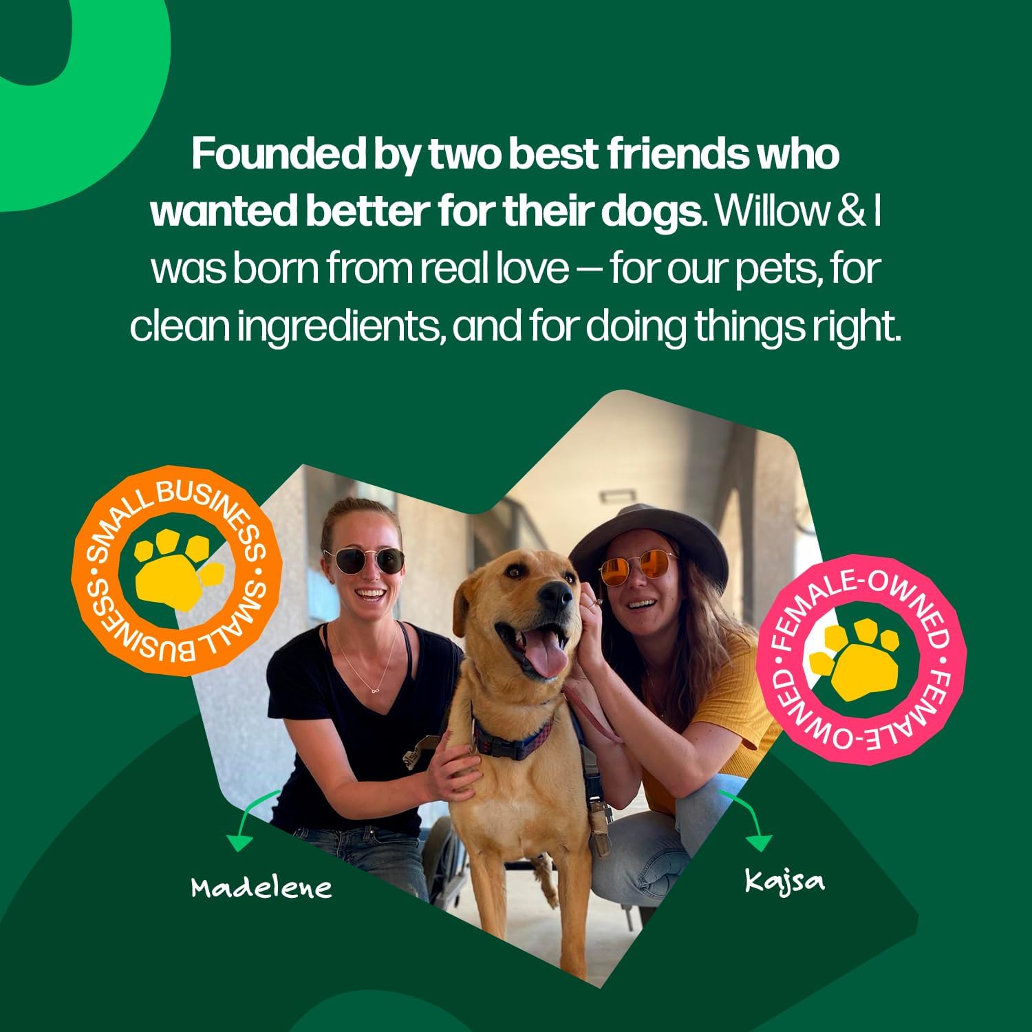 Willow&I Bully Sticks for Dogs -12 Inch Natural Bully Sticks for Medium, Large & Small Dogs- Premium 100% Grass Fed, Single Ingredient, Long Lasting, High Protein, Odor Free (12", 5 Pack)