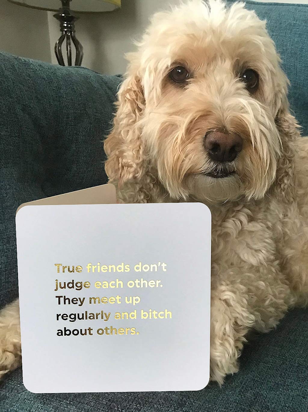 Lustige Geburtstagskarte „True Friends Don't Judge“ – Frech & Witzig, 140x140 Mm, Für Beste Freunde & Partner
