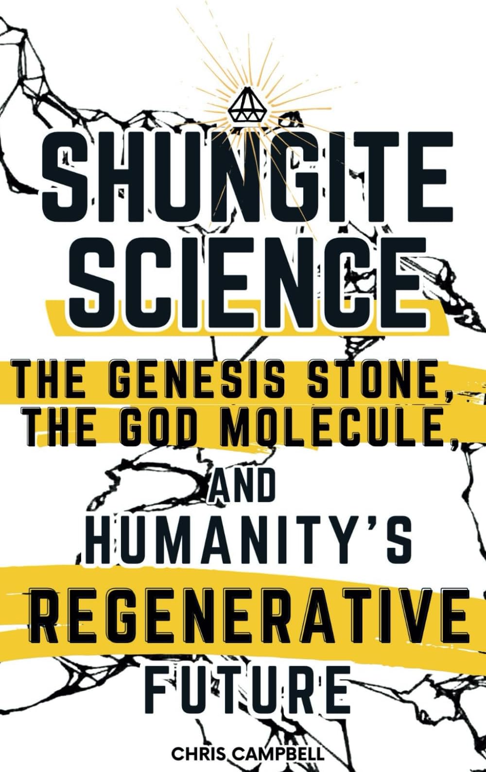 Shungite Science: The Genesis Stone, the God Molecule, and Humanity's Regenerative Future
