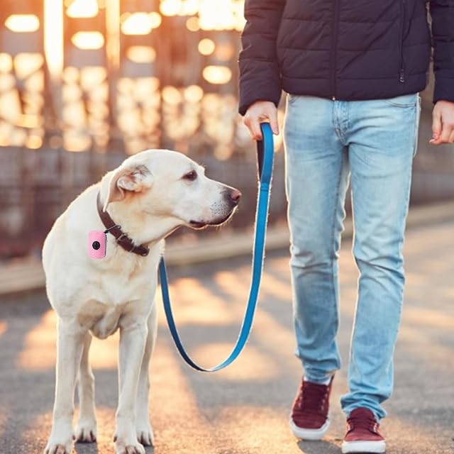 Foto 7 de 8 de Dispensador de bolsas de excrementos para perros