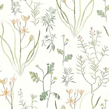 Botanical Peel 4箱セット 楽天市場 | ボタニカルピール楽天市場店 - 自宅でサロン