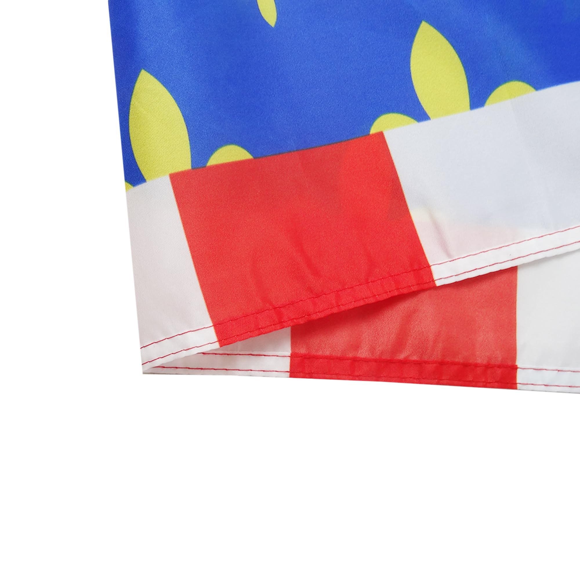 Drapeau Province De Gascogne - 150X90 Cm - Drapeau Gascon - France 100