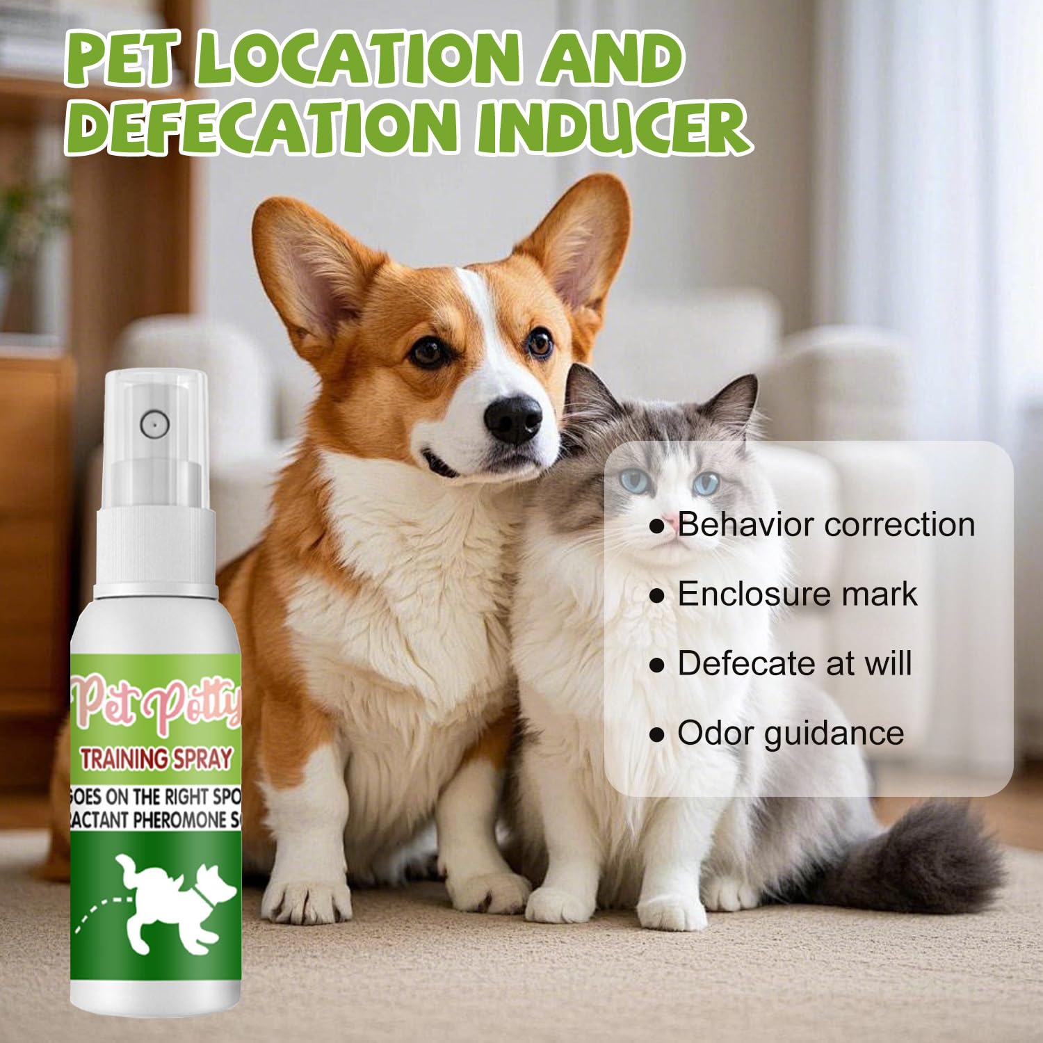 Spray Fai La Pipì Qui per Cani, Spray per Addestramento Vasino per Animali Domestici, 30 ml Attrattivo per pipì per animali domestici, Attraente, Strumenti Addestramento, Protezione Casa Mobili