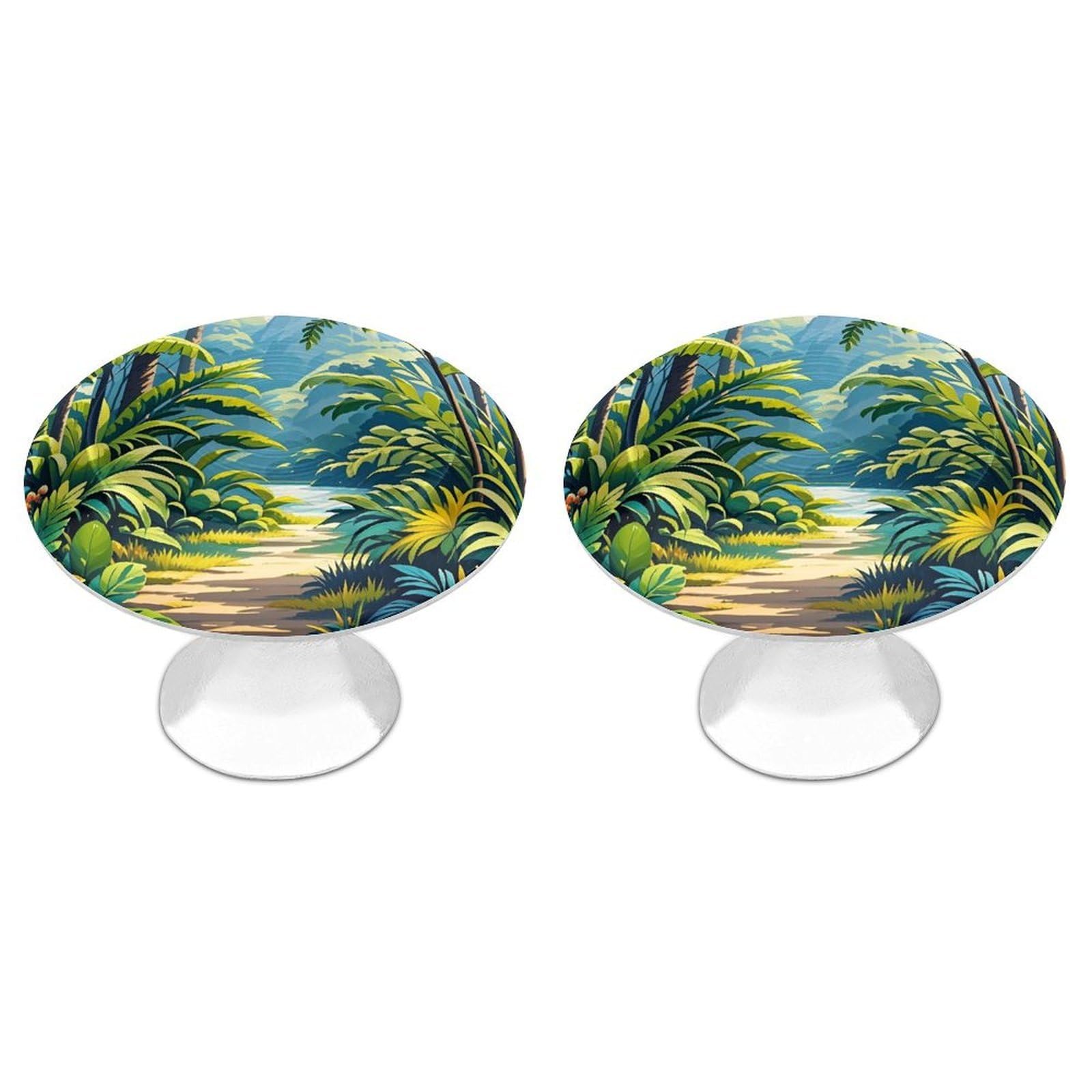FekiLoot Tropical Jungle Painting Cabinet Knobs 2 Pack Stainless Steel Round Dresser Drawer Knobs Kitchen Drawer Hardware Dresser Knob Closet Door Pulls Cabinet Handles for Cupboard Drawer Pulls