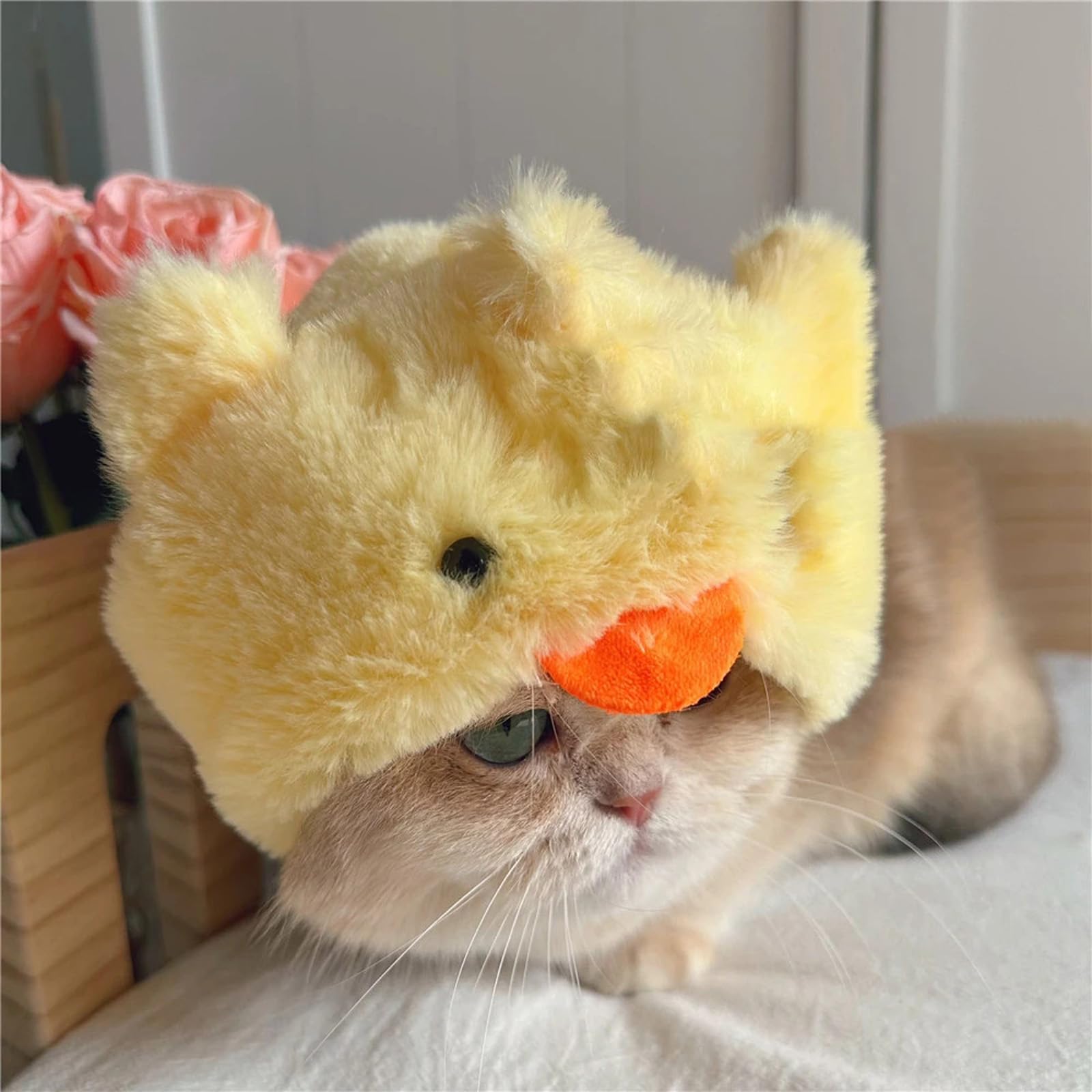 2 Pezzi Cappello Gatto, Morbido Peluche Cappelli per Gatti, Adorabile Cappello per Gatto, Modelli con Pulcini e Maialino Cappellino gatto, Cappellino per Gatti Copricapo Accessori