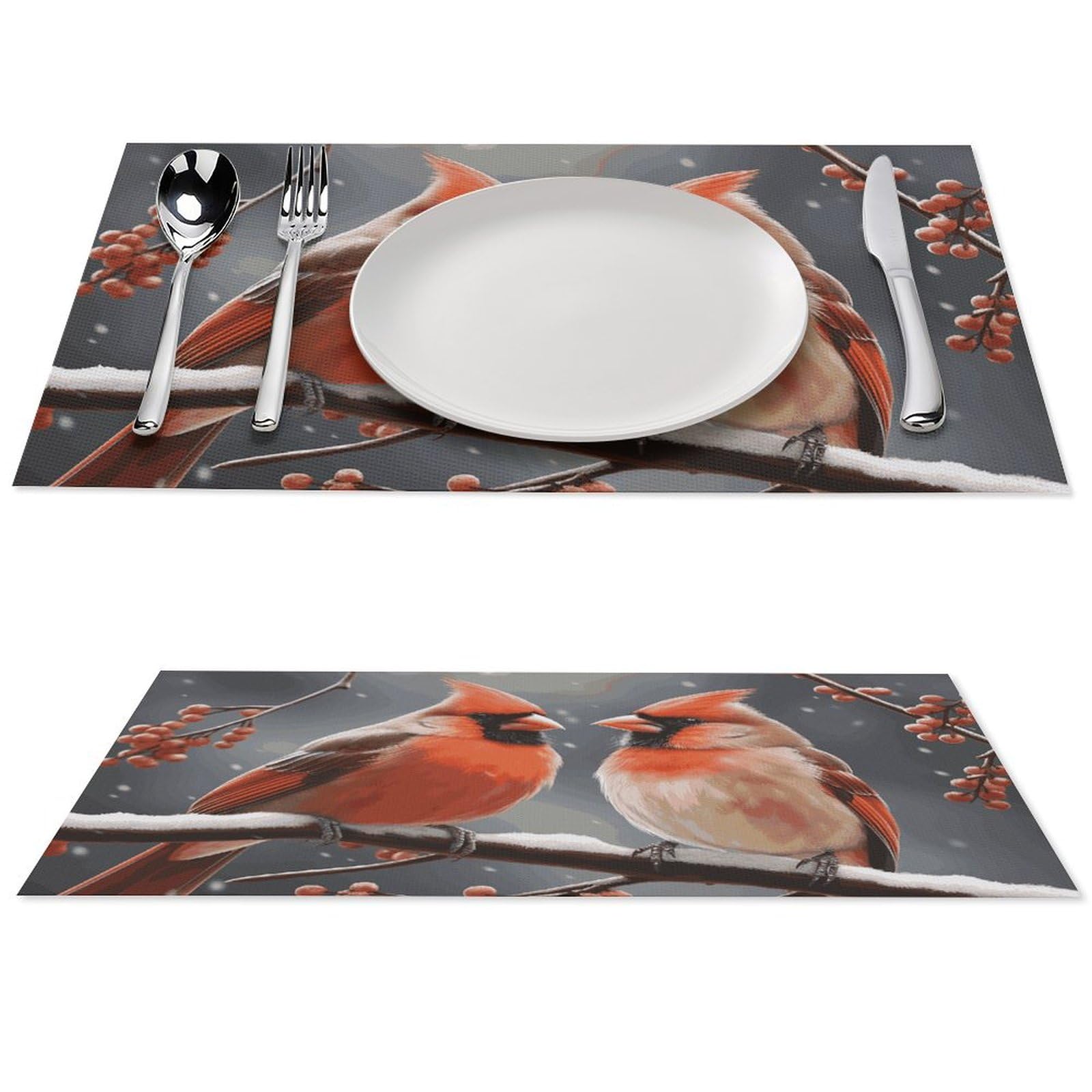 Set de table en PVC lot de 4 avec oiseaux cardinaux lavables pour table de cuisine