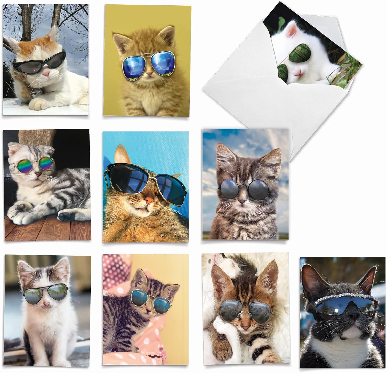 The Best Card Company - 10 Adorable Blank Cat Cards (4 x 5.12 Inch) - Cute Pet Kittens, Assorted Bulk Notecard Set - Kool Kitties AM6891OCB-B1x10