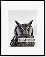 Vista 113 de Fun Memories Portarretratos de metal de 16 x 20 pulgadas con paspartú de 11 x 14 pulgadas, acabado de aluminio cepillado, parte delantera de vidrio