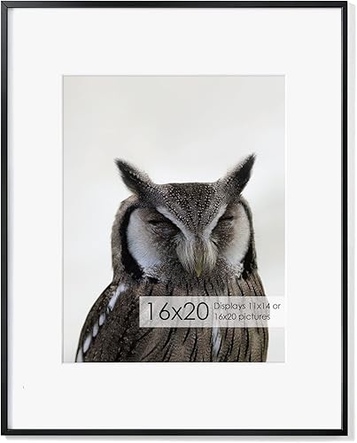Miniatura 113 de Fun Memories Portarretratos de metal de 16 x 20 pulgadas con paspartú de 11 x 14 pulgadas, acabado de aluminio cepillado, parte delantera de vidrio