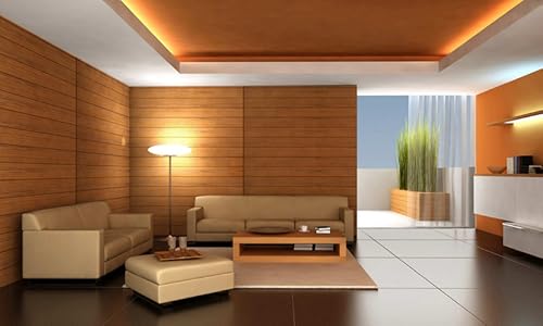 Afordable Budget Living Room Interior Designs Ideas Vol 2