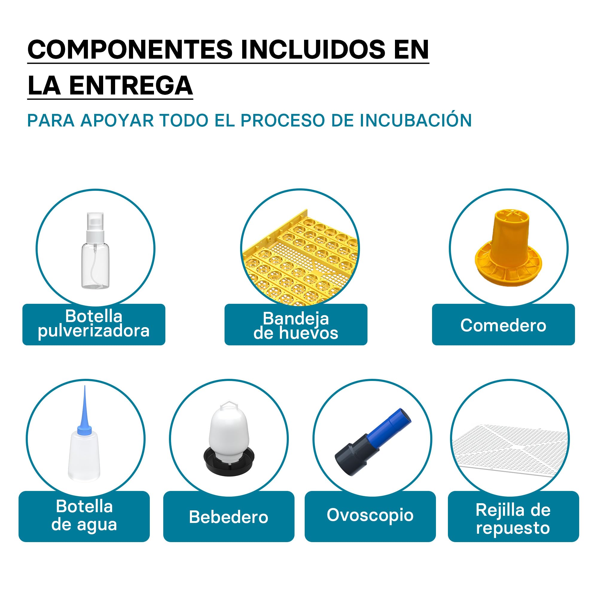 Incubadora automática capacidad para 48 huevos de gallina y 4 ventanas observación, pato, codorniz