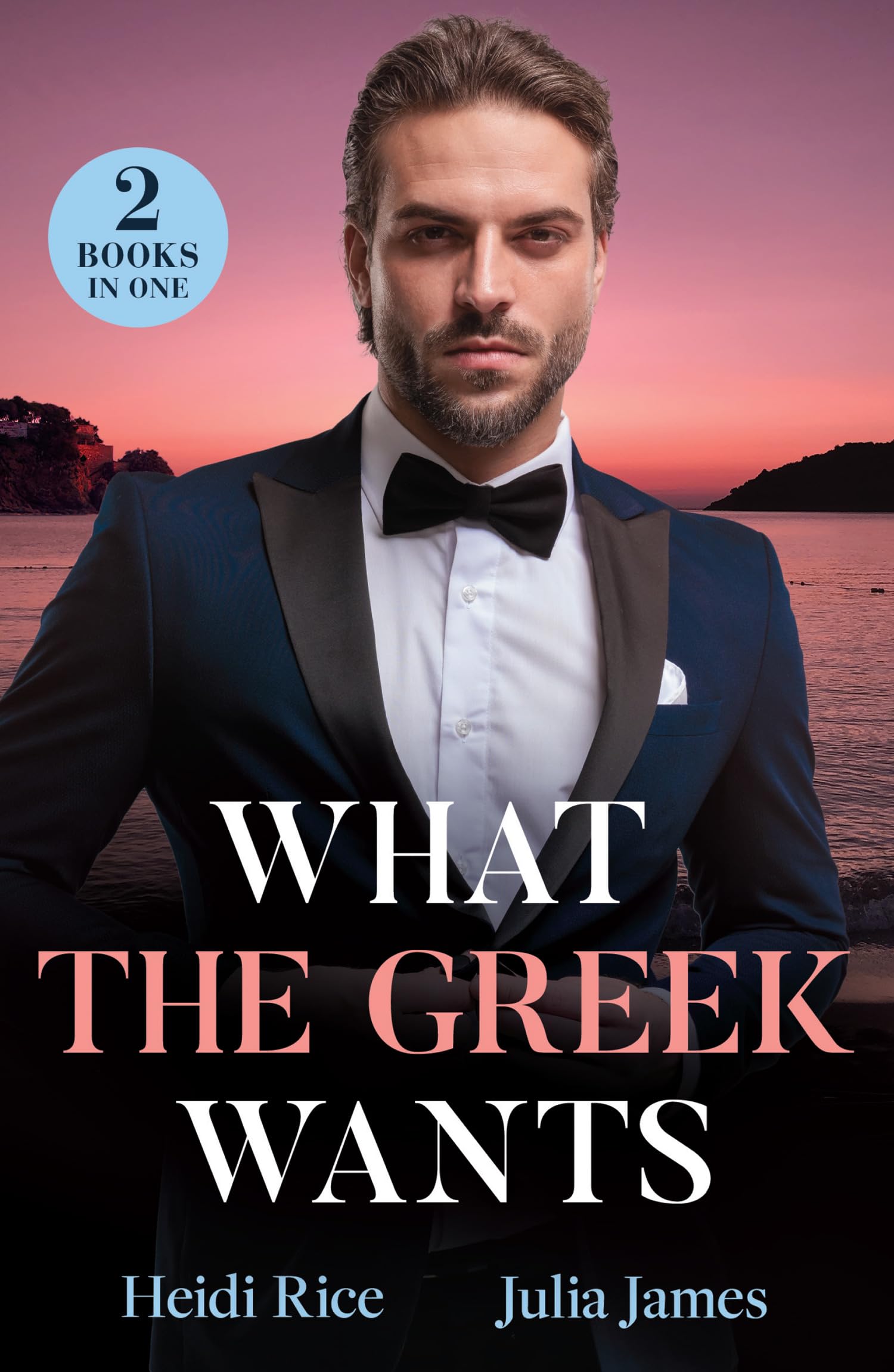 What The Greek Wants by Heidi Rice (Paperback Book)