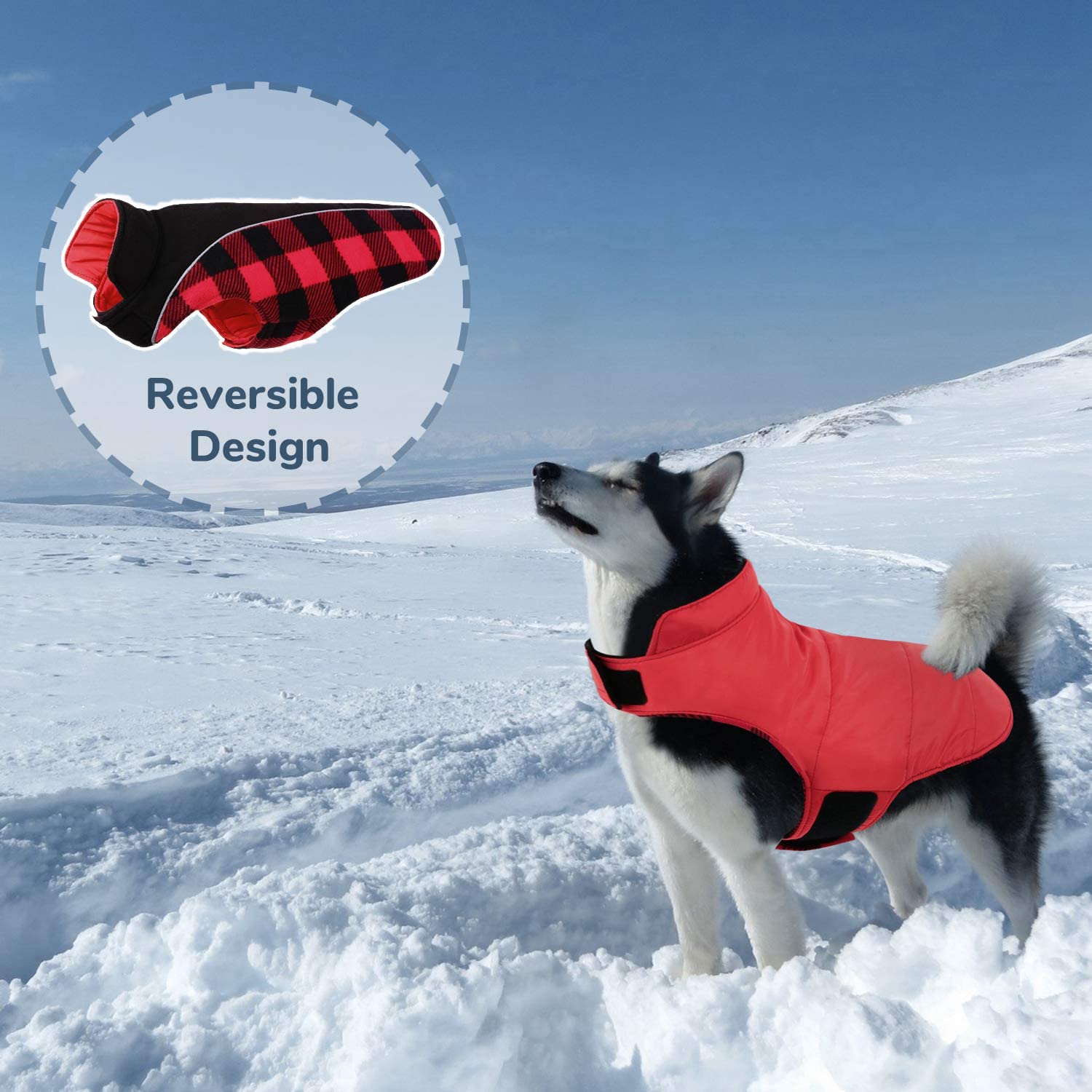 CITÉTOILE Cappotto per Cani Antivento, Giubbotto Invernale Cane Reversibile di Taglia Piccola/Media/Grande, Giacca Gilet Invernale Cane con Foro per Imbracatura, Riflettente, Rosso, M