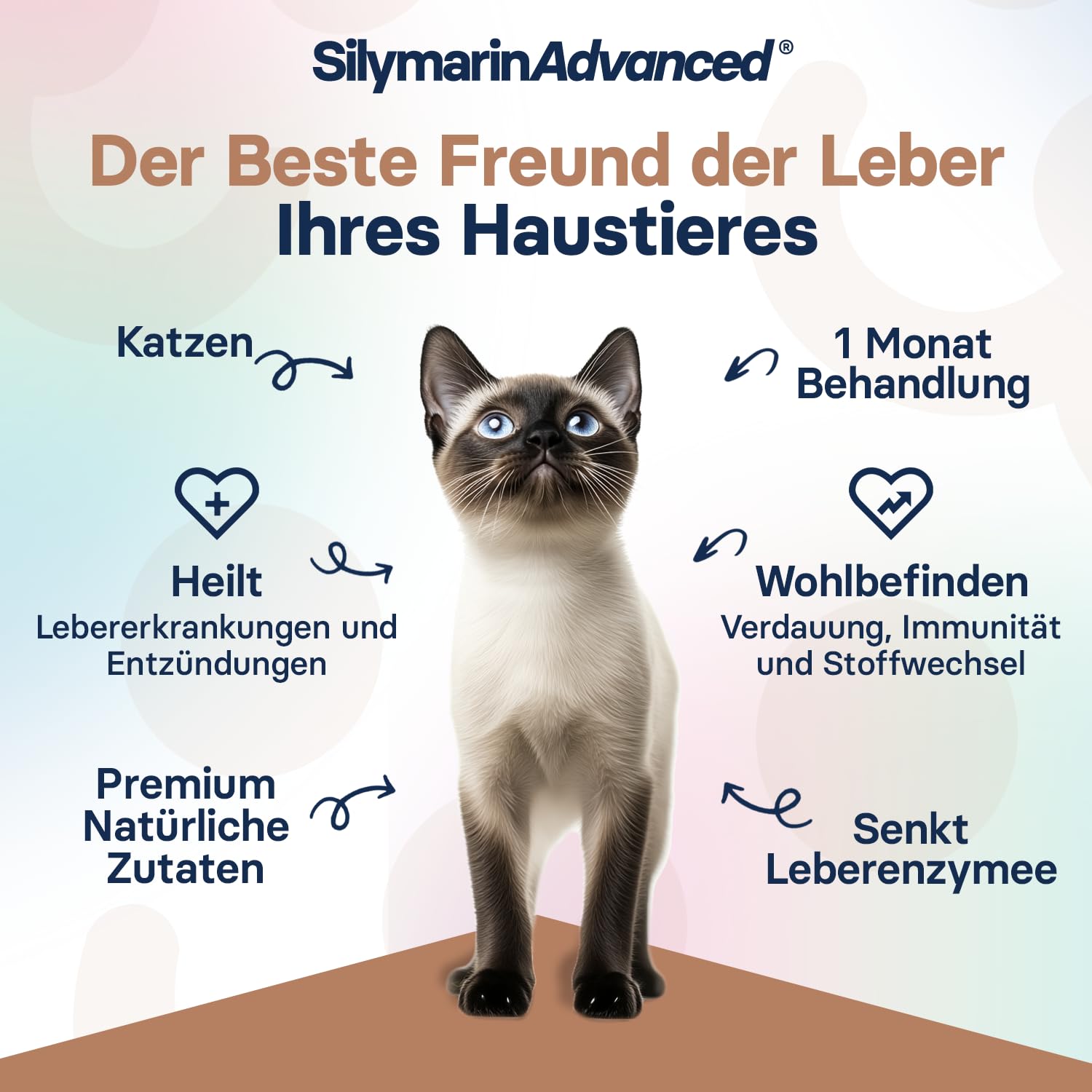 Lebergesundheits-Supplement für Katzen – Mariendistel Supplement für die Leber-Detox – Katzen-Supplemente mit S-Adenosylmethionin (Same) und Silybin – 30 Tabletten