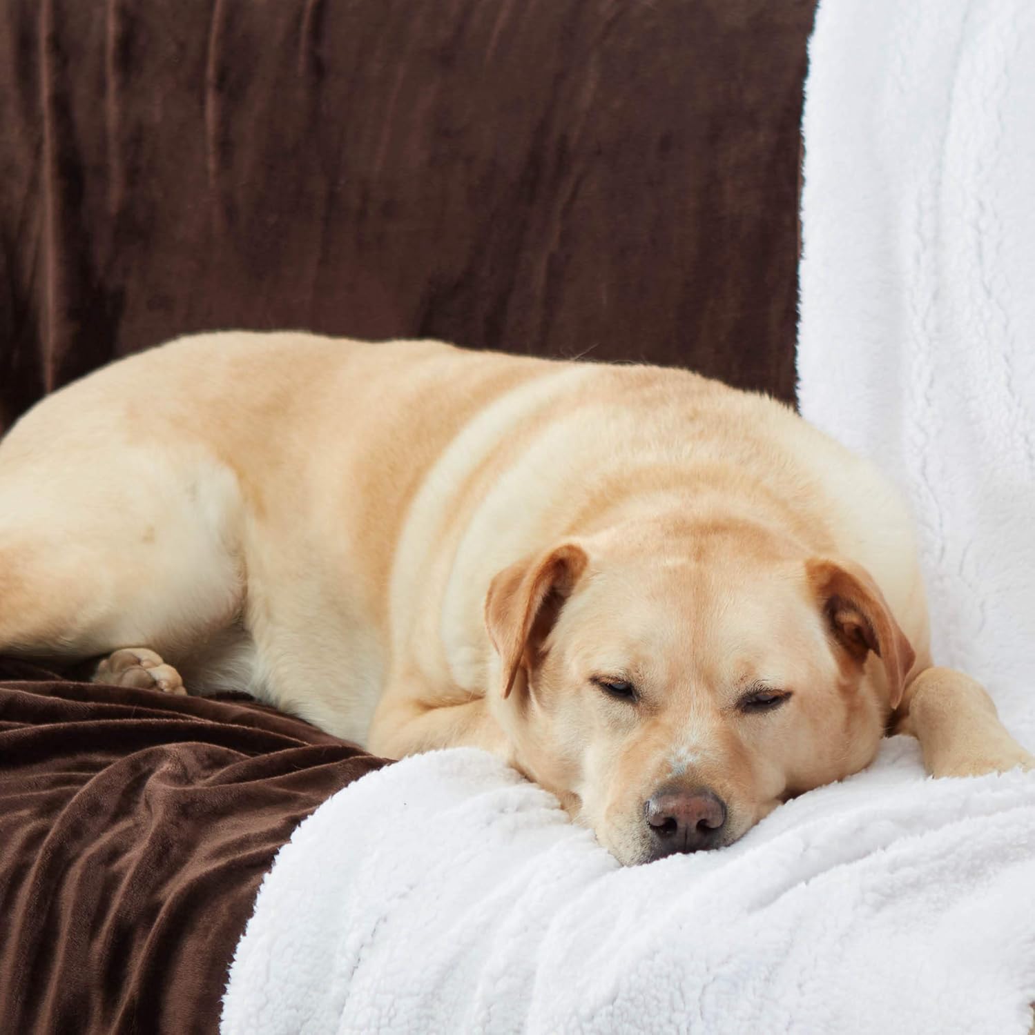 Blасk Frіdау - 50% оƒƒ Genteele Sherpa Blanket - 102 x 90 Inch Fuzzy, Super Soft Throw Blankets for Couch, Bed & Sofa - Cozy, Plush Reversible Fleece Blanket Alternative - Brown/White