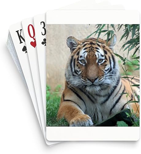 CafePress Tiger20180701ByJamfoto Standard Size Playing Cards