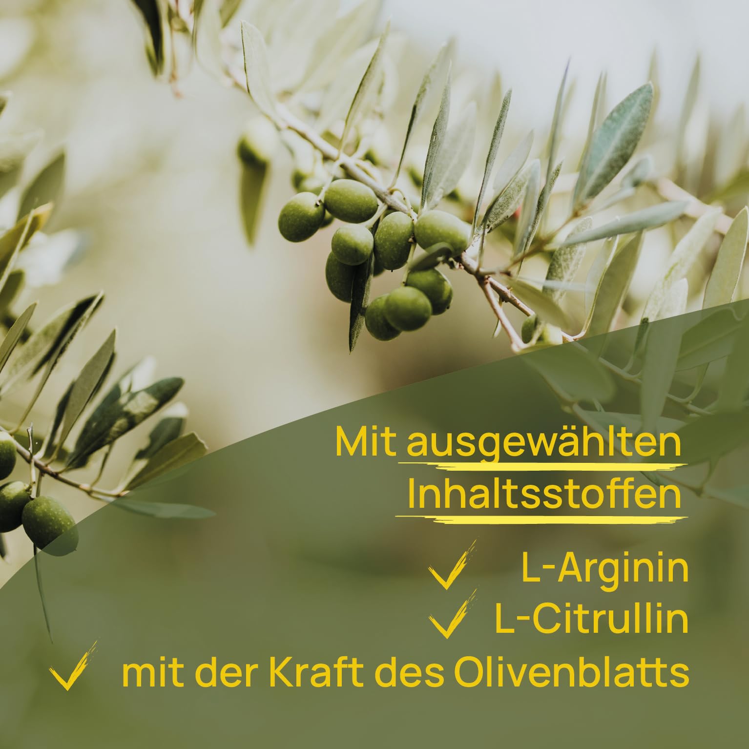 Wellpursan Sangioton Extra, 240 Stück, hochwertige L-Arginin Kapseln hochdosiert mit L-Citrullin, Olivenblatt, Coenzym Q10,Vitamin K2, 100% Vegan, frei von Zusätzen