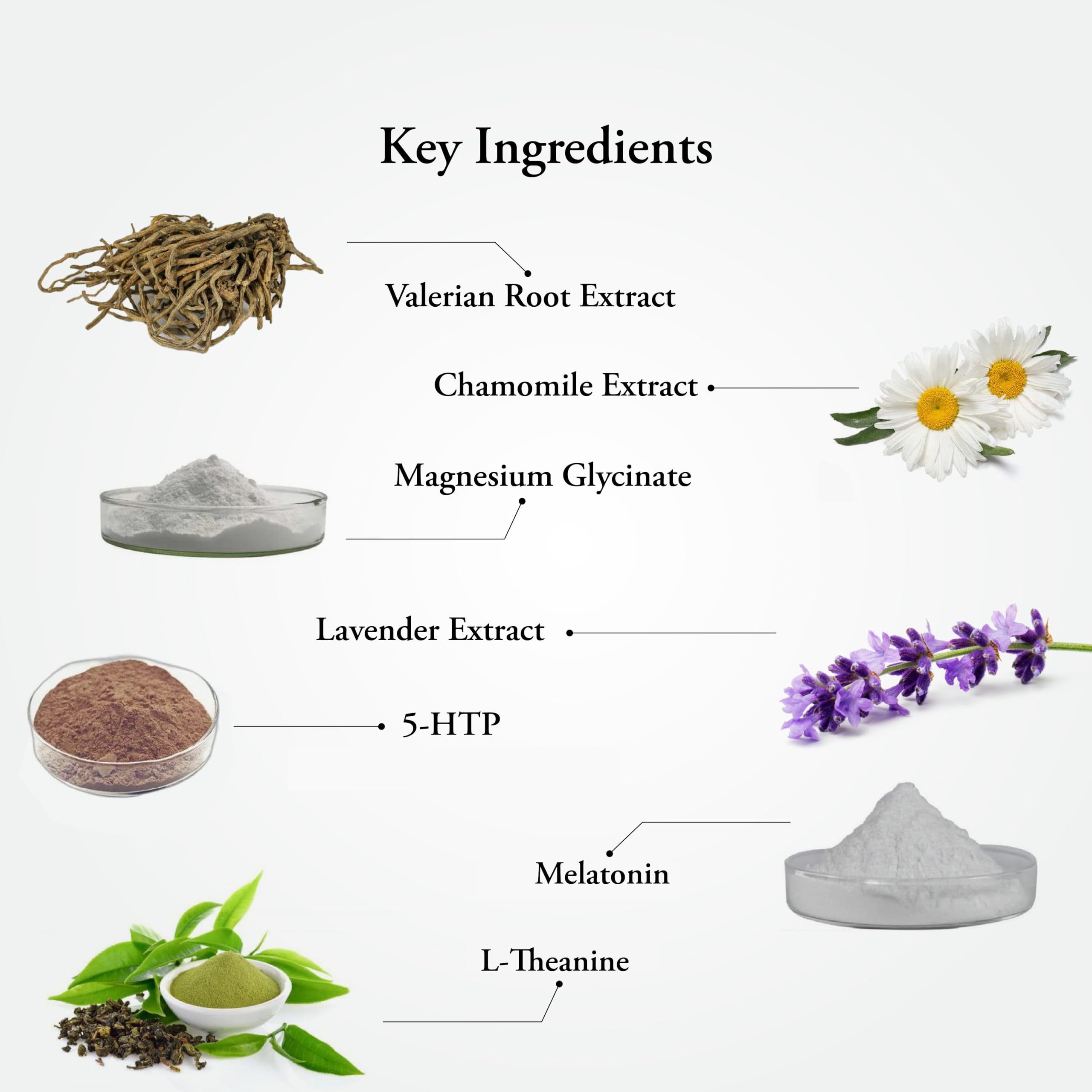 Sitaram Ayurveda Deep Sleepzz Capsules | Sleep & Mind Relaxation Support | With Valerian Root | 50 Nos. — Amazon image 6